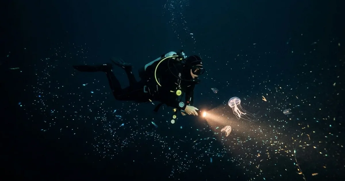 Montres et Océan : les pionnières des abysses