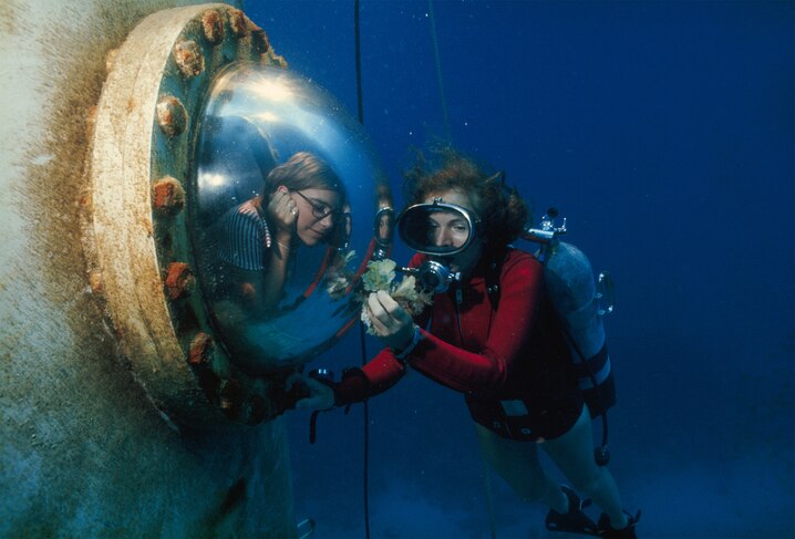 Sylvia Earle onder water, een centrale figuur in de oceanografische verkenning en de bescherming van de diepzee.